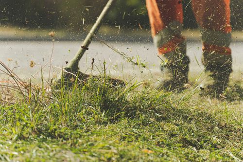 Line trimmer cutting grass along a path