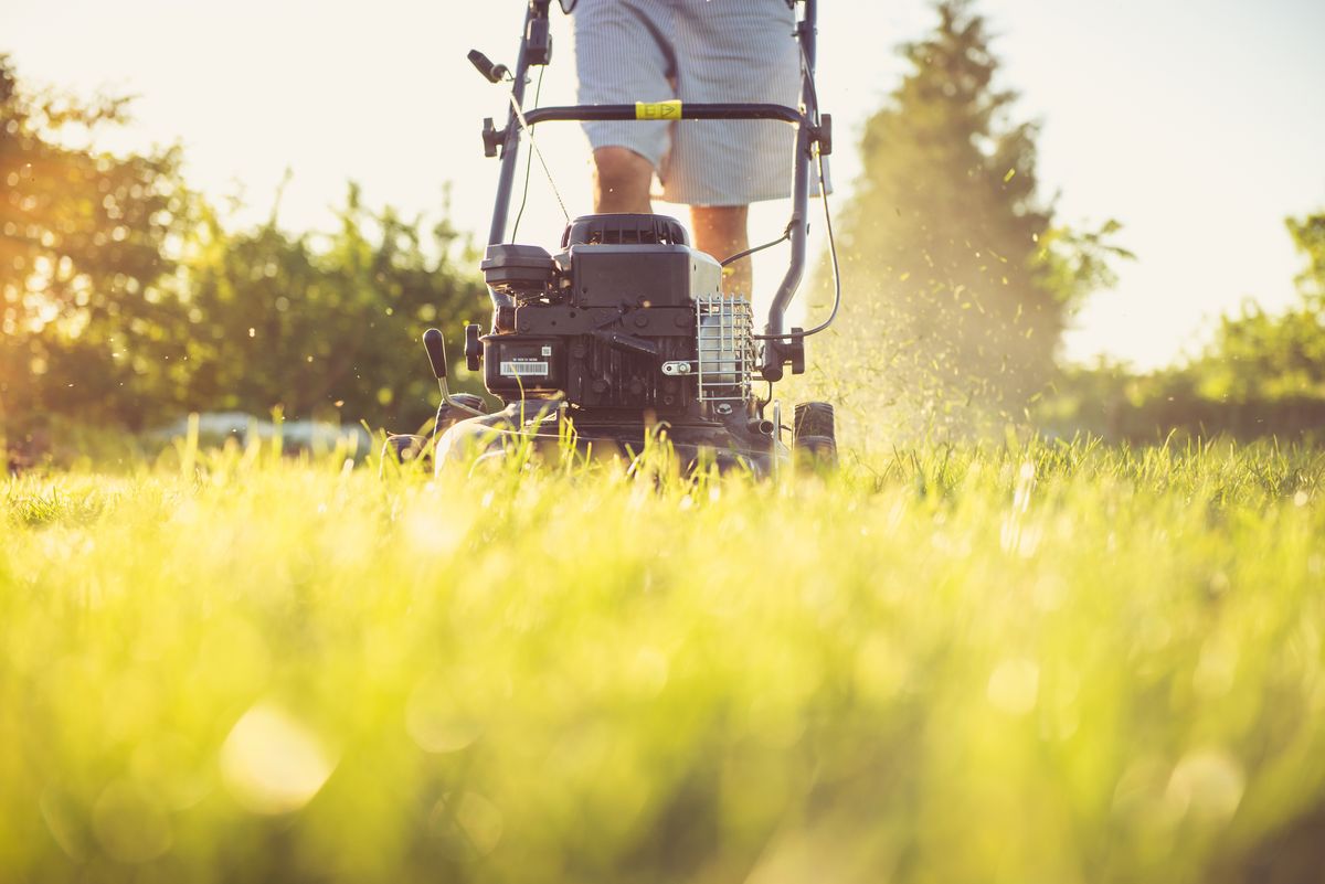 Person mowing a lawn in afternoon sun